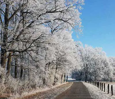 Winterweg