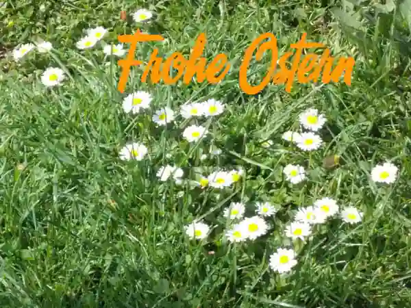 FroheOstern!Blumenwiese